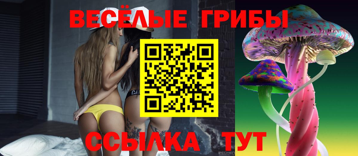 APVP Новоалександровск