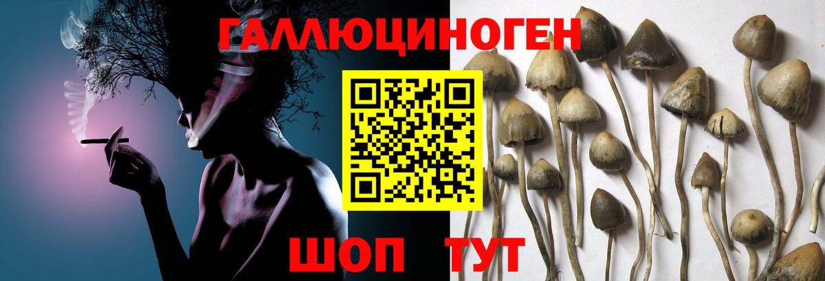 Новоалександровск  Галлюциногенные грибы мухоморы  продажа наркотиков  Вход с VPN 