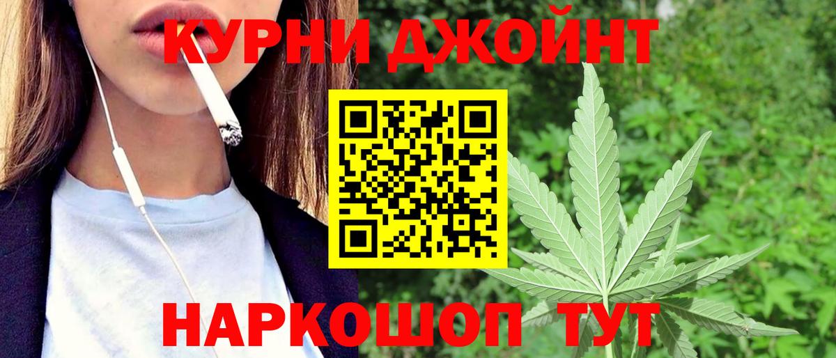 МАРИХУАНА ГИДРОПОН Новоалександровск